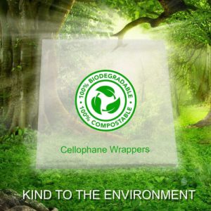 Funny Birthday Cards for Women Her Best Friend female ladies rude birthday card